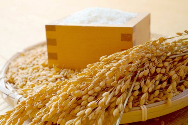 お米は100%自家精米